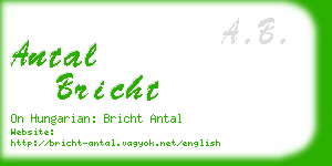 antal bricht business card